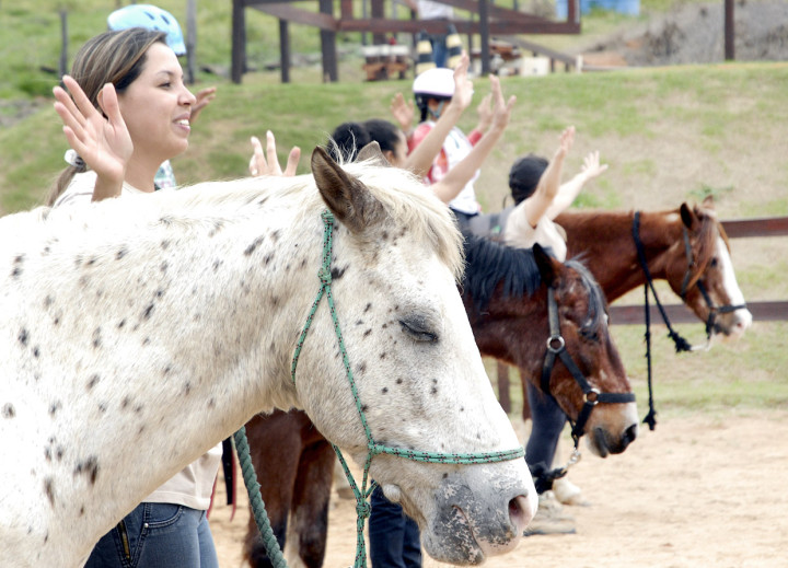 Aulas de equitação clássica e equoterapia para crianças carentes