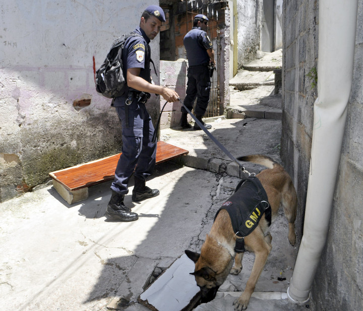 Cães farejadores ajudaram a localizar drogas numa viela
