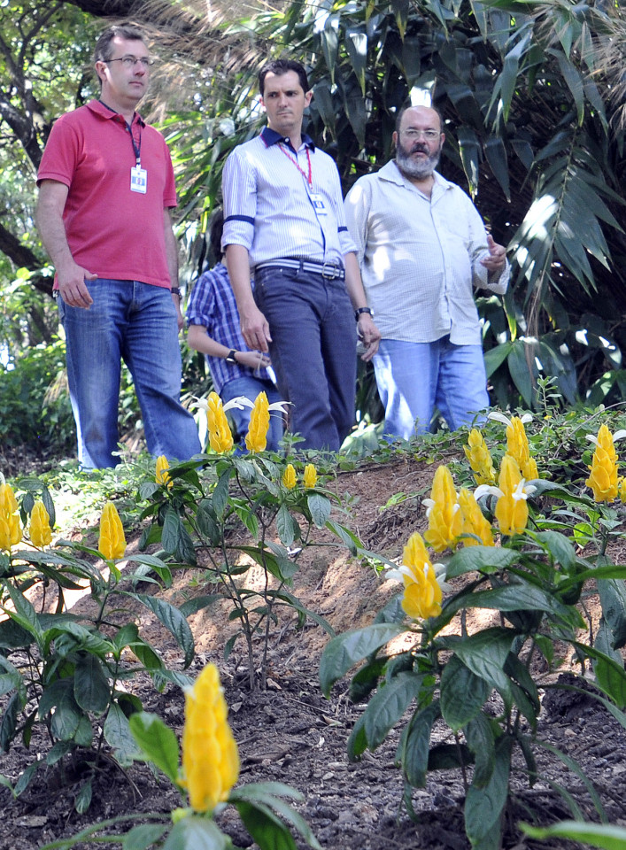 Renato, Aguinaldo e João: novo visual para o Jardim Botânico
