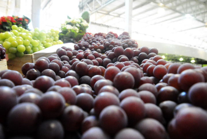 No ano passado foram comercializadas 18 mil toneladas de uva durante a festa