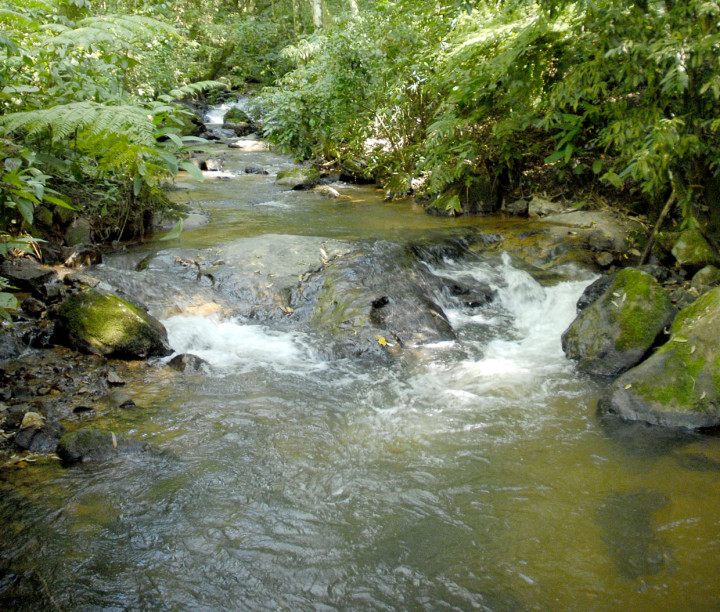 Jundiaí tem águas límpidas, como na Serra do Japi e zona rural