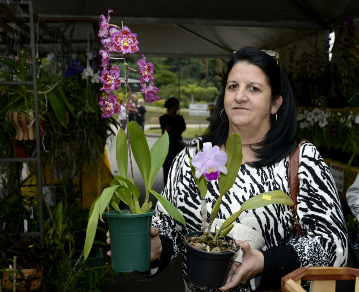Ana Maria mostra os vasos: paixão pela flor