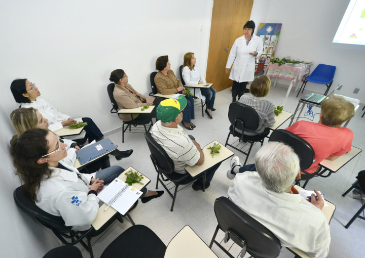 Participantes no encontro: uso correto de plantas medicinais