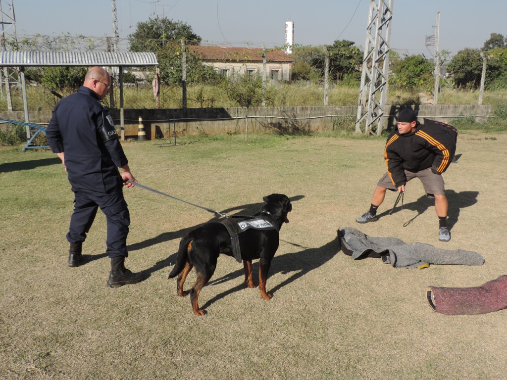 Morrel e Rice participaram de um treinamento com os cães