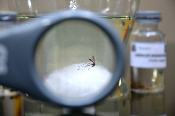 O combate ao mosquito da dengue é o ponto alto da campanha