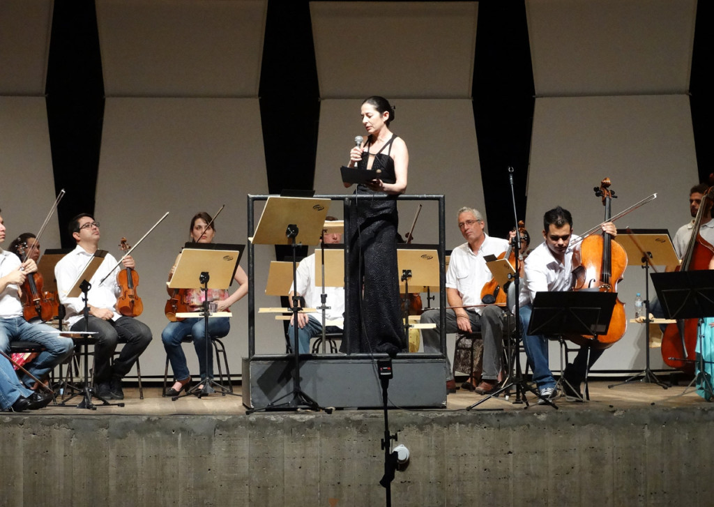 Claudia Feres explica como funciona uma orquestra