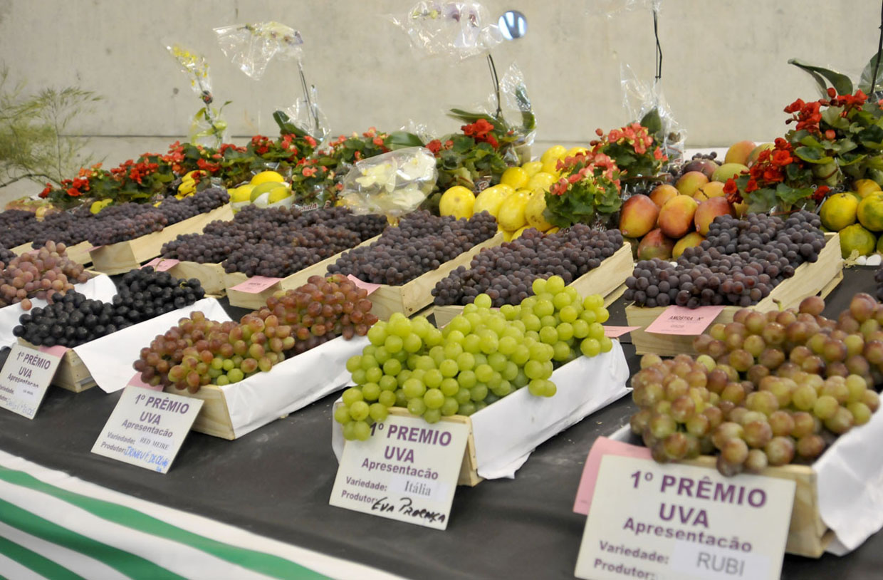 Exposição de frutas volta com força na edição 2015