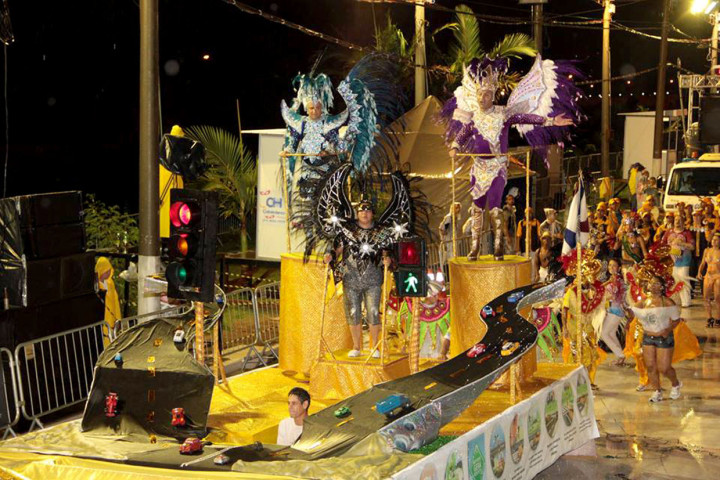 Marujos da Zona Sul no Carnaval 2014