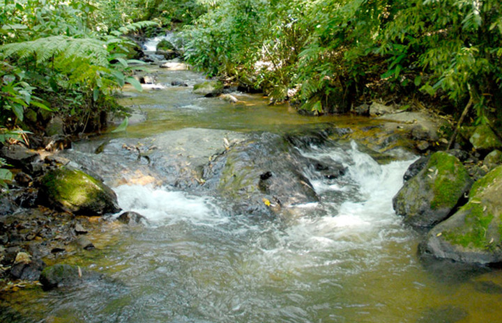 Bacia do rio Jundiaí-Mirim será alvo de áreas iniciais do projeto