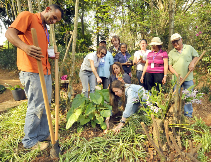 Jardinagem é um dos cursos realizados pelo Fundo Social