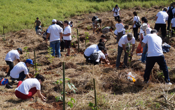 Os participantes plantaram 300 mudas de árvores que vão proteger nascente do Rio Jundiaí-Mirim
