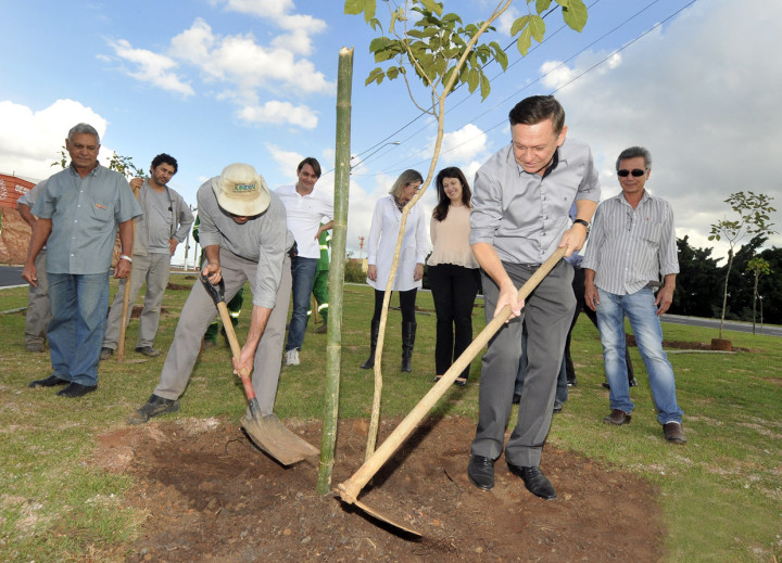 A ação plantou 120 árvores em uma primeira etapa de intervenções no local