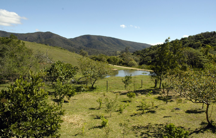  O reflorestamento continua sendo vital na Serra do Japi e seu entorno