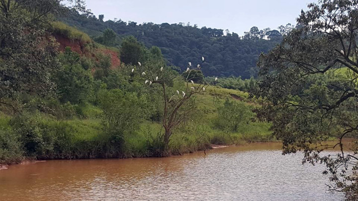 Primeira fase pretende recuperar 440 hectares na bacia do Jundiaí-Mirim 