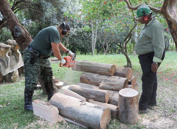Mãos à obra: Guardas da Divisão Florestal participam de treinamento de capacitação