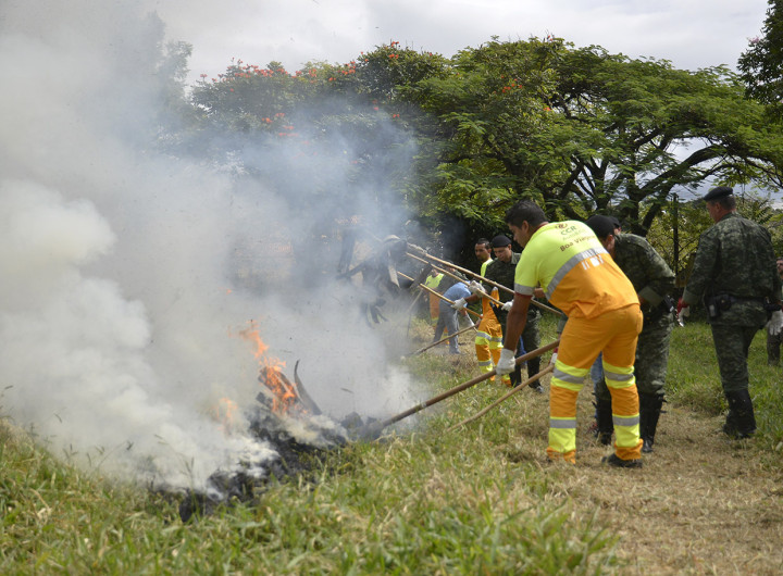 Na prática, participantes enfrentaram o calor para conter as chamas de um foco controlado