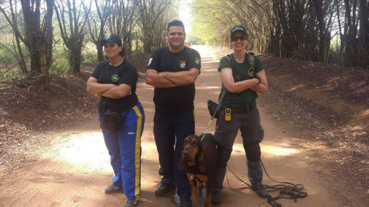 Trabalho da GM com cães tem sido fundamental na área da Serra do Japi