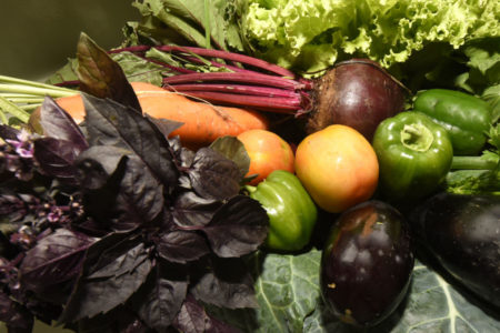Ramalhete de folhas de verduras e legumes: manjericão roxo, alface, beterraba, couve, maça e cenoura