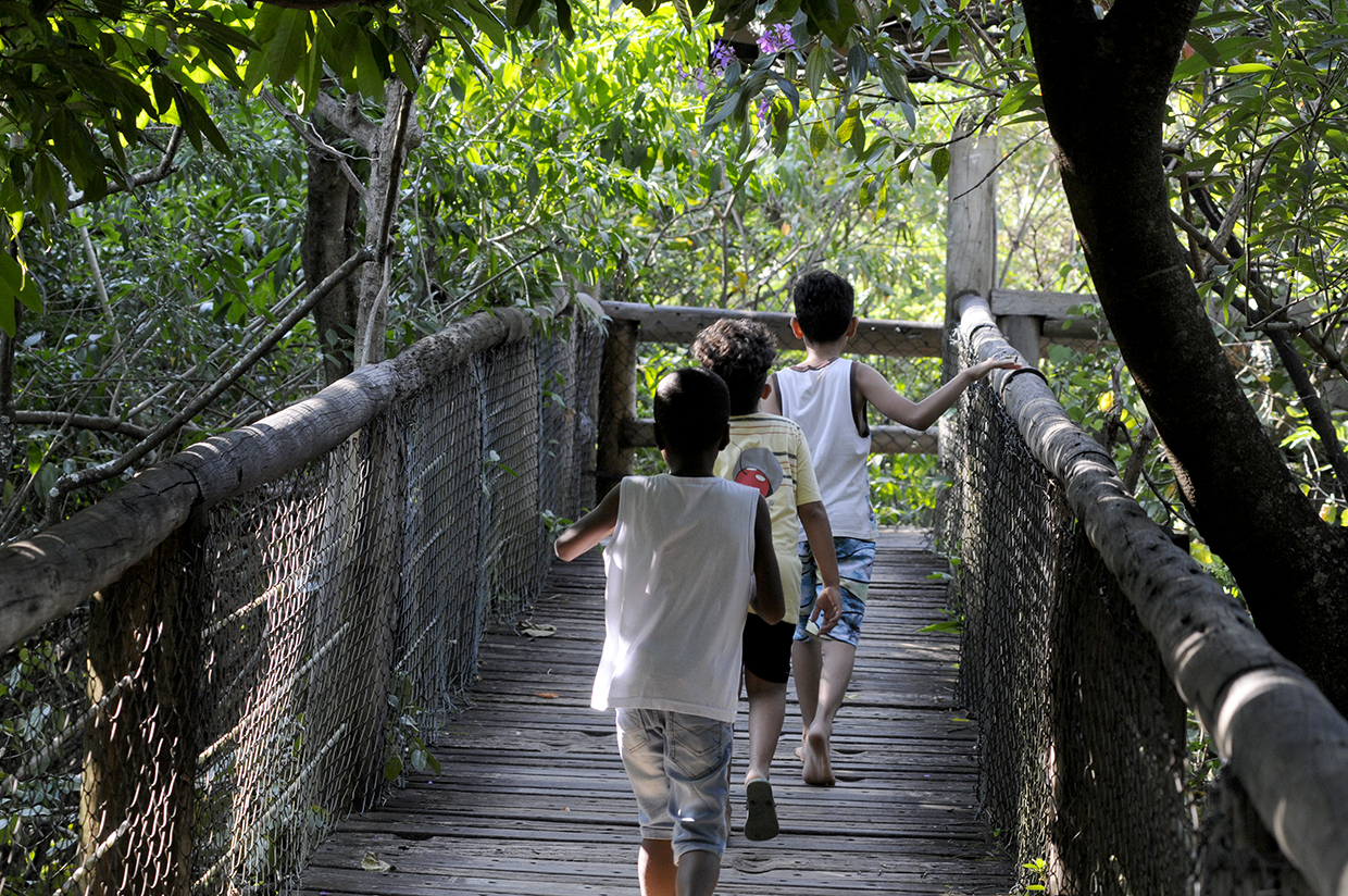 Três crianças caminham sobre ponte de madeira