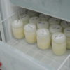 Frascos de leite humano em gaveta de freezer