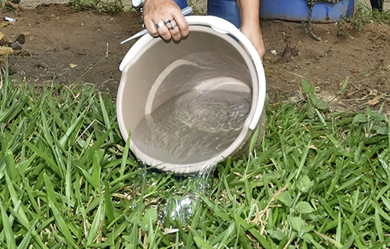 Foto de balde com água sendo despejada em grama