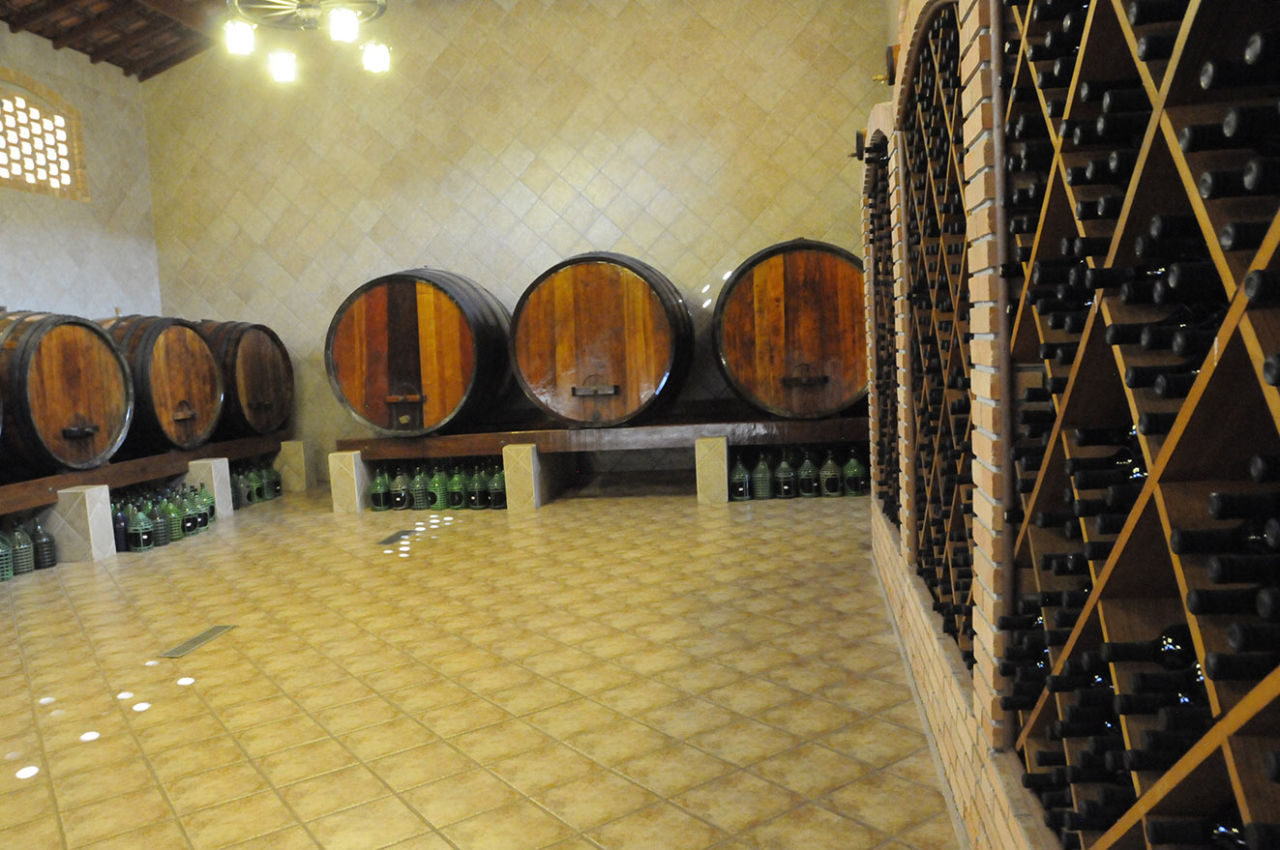 Garrafas de vinho em adega vertical e tonéis ao fundo