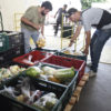 Homens carregam caixas com frutas, verduras e legumes