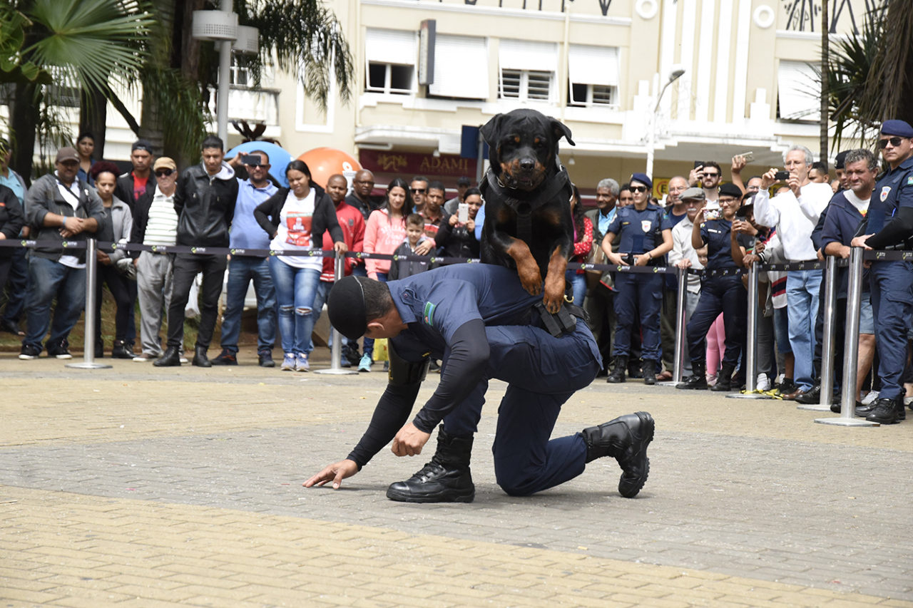 Homem fardado em performance com cão que salta pelas suas costas, em praça, com espectadores em pé ao redor, isolados por cordão