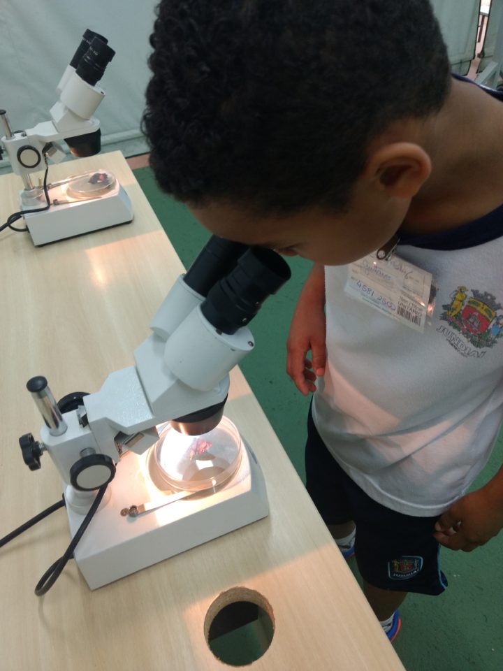 Menino fica atento ao olhar objeto pelo microscópio