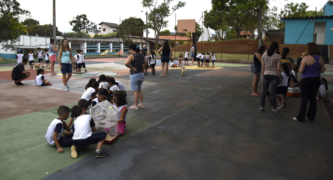 Crianças brincando em quadra escolar, com cachorros na coleira e gaiolas