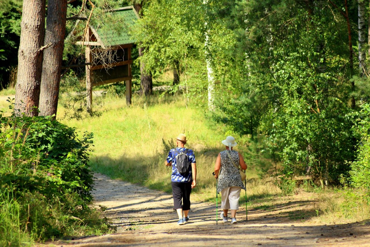Duas pessoas de costas, caminhando em meio a uma trilha no campo