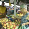Mulher idosa escolhe pêssegos em barraca de frutas em feira