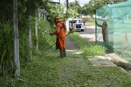 Av. Dr. Adilson Rodrigues, no Jd. Samambaias, já teve funcionários terceirizados da prefeitura realizando roçada do mato