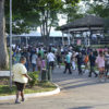 Público terá 10 linhas de ônibus urbano para chegar ao Parque da Uva