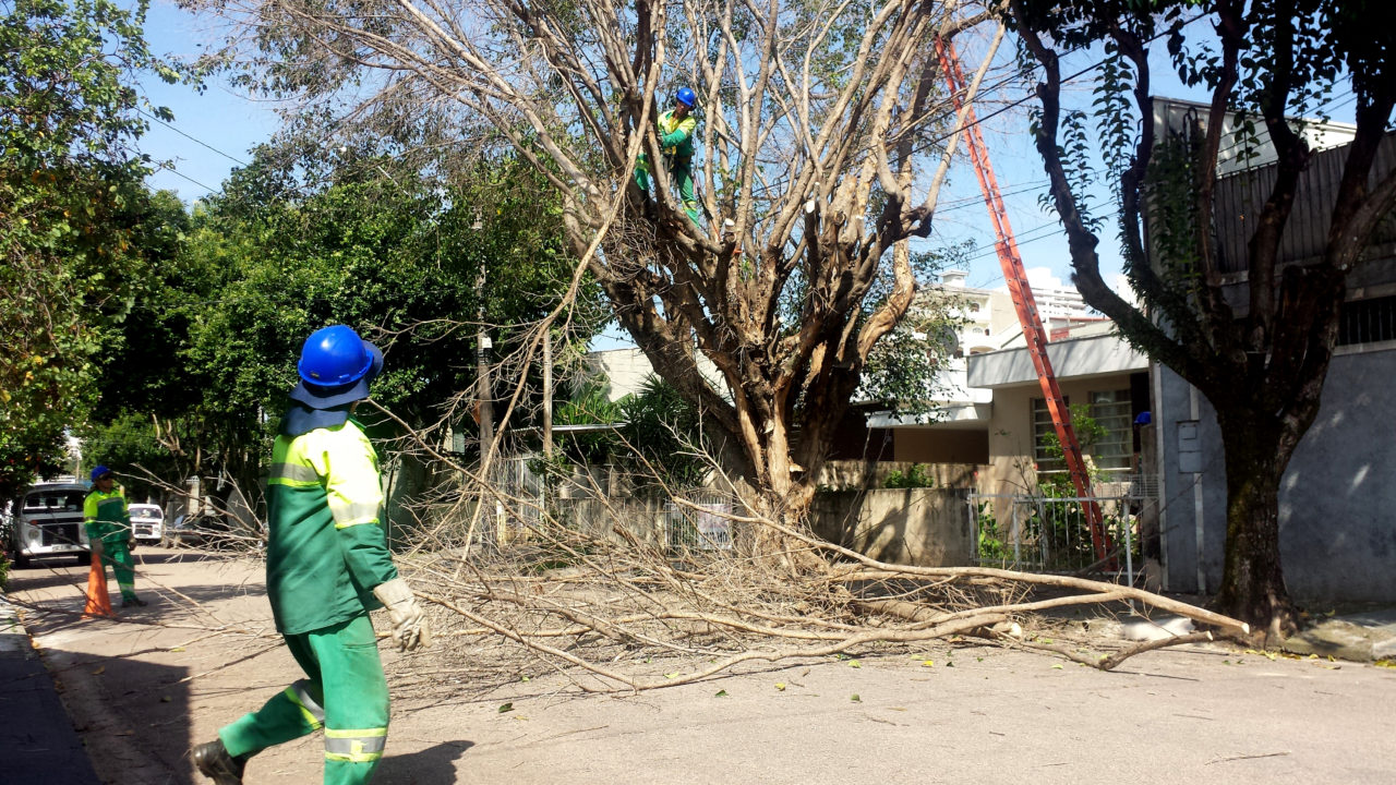 Rua Oswaldo Aranha, na Vila Lacerda, teve remoção de árvore nesta quarta-feira (15) 