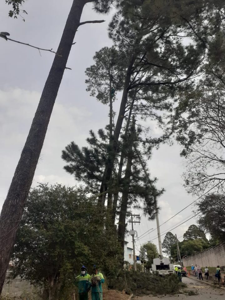 Árvores foram removidas do local pelas equipes da UGISP, após desligamento da força feito pela CPFL