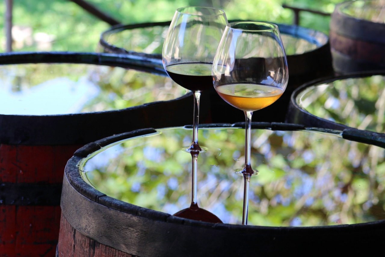 Imagem mostra duas taças de vinho, uma com vinho tinto e outra com vinho branco, em cima de tonel, com líquido em cima, reluzindo folhas de árvores.