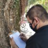 Funcionário de empresa terceirizada da Prefeitura de Jundiaí cataloga árvore que, em breve, passará por avaliação técnica