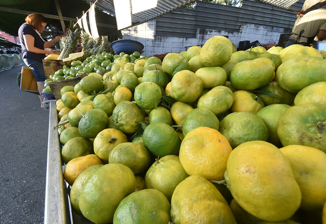 Imagem mostra banca de feira com laranjas e ao fundo mulher escolhendo frutas