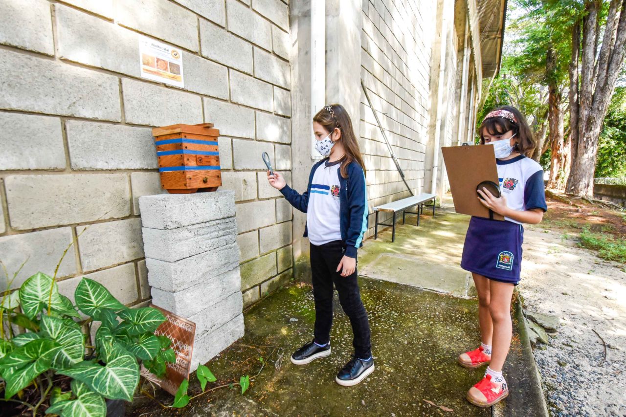 Imagem mostra duas meninas, uma segura uma lupa e observa uma caixa de madeira, enquanto a outra, mais para trás, está com uma prancheta na mão e faz anotações. ambas estão de máscara e uniforme escolar azul.