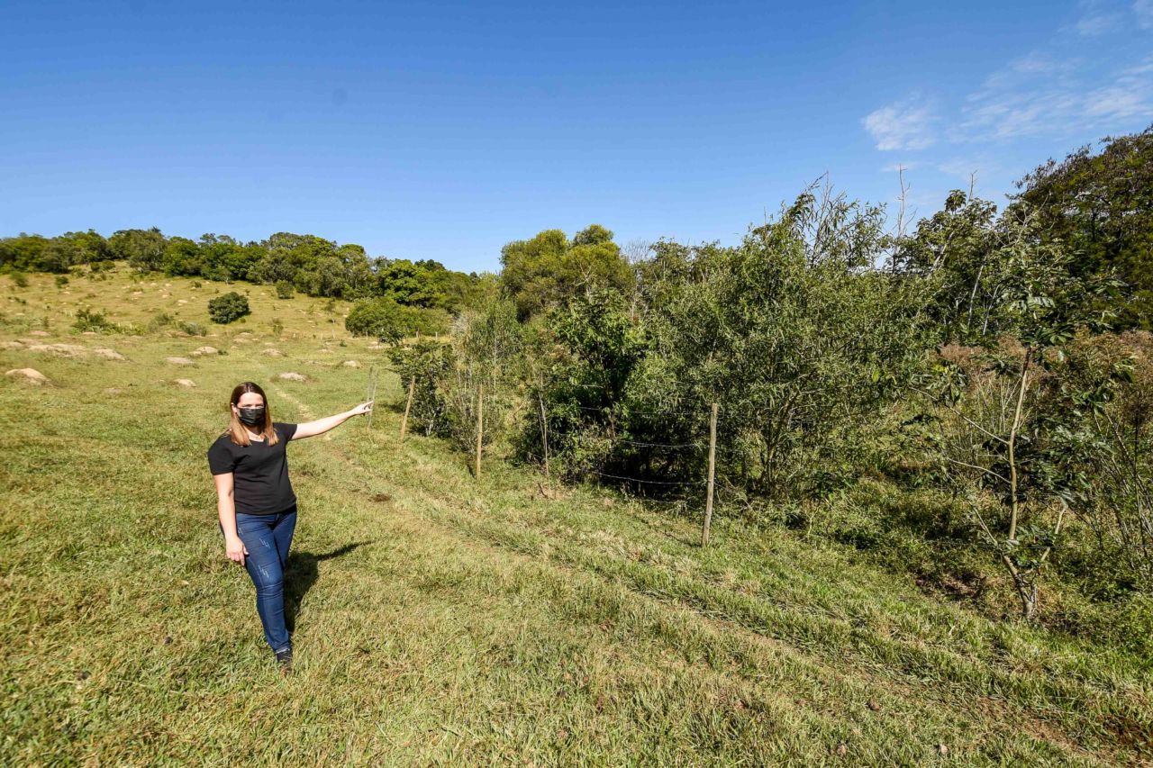 Imagem mostra mulher apontando para  a área que está sendo preservada, com árvores 