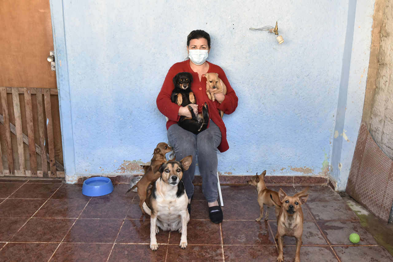 Mulher morena, de blusa vermelha e calça jeans está sentada com dois cachorros, um preto e outro caramelo no colo. No chão há mais quatro cachorros caramelos pequenos e um branco, preto e marrom.