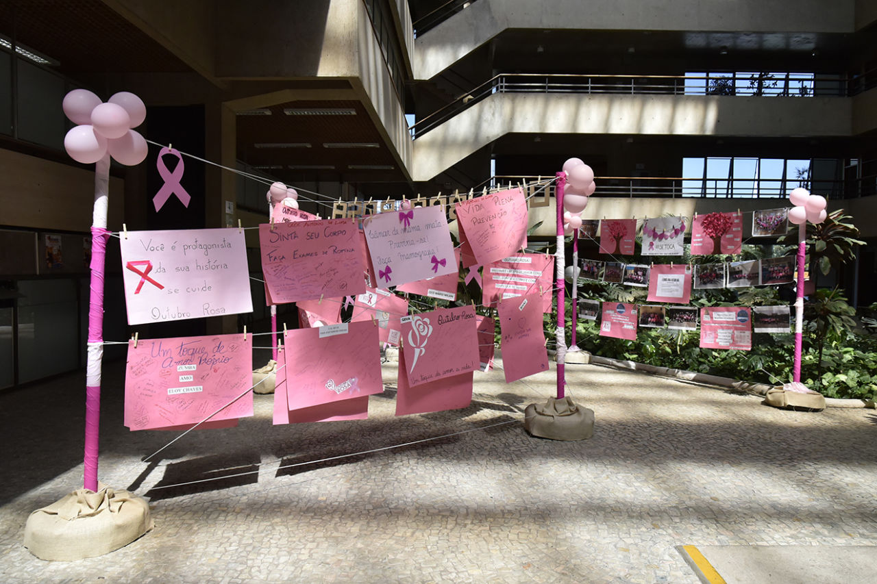 Varais enfeitados com bexigas, cartazes e desenhos cor de rosa, com jardim ao fundo