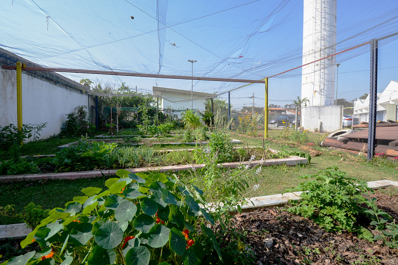Imagem mostra horta com quatro canteiros, protegida com tela. Há ervas plantadas na horta. 