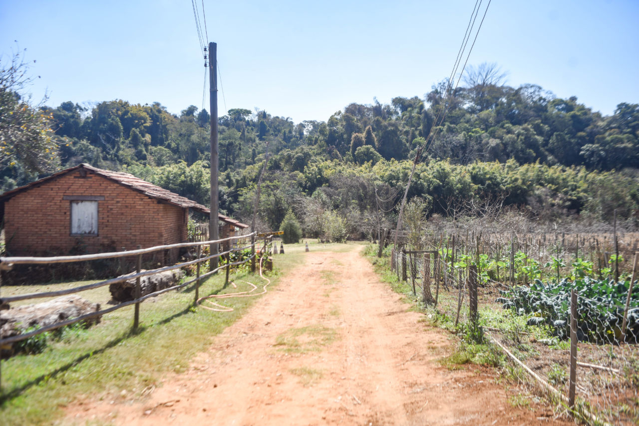 Propriedade rural, na lateral direita há plantação e na esquerda uma casa de tijolinhos. No fundo é possível ver remanescente de floresta. O caminho é de terra