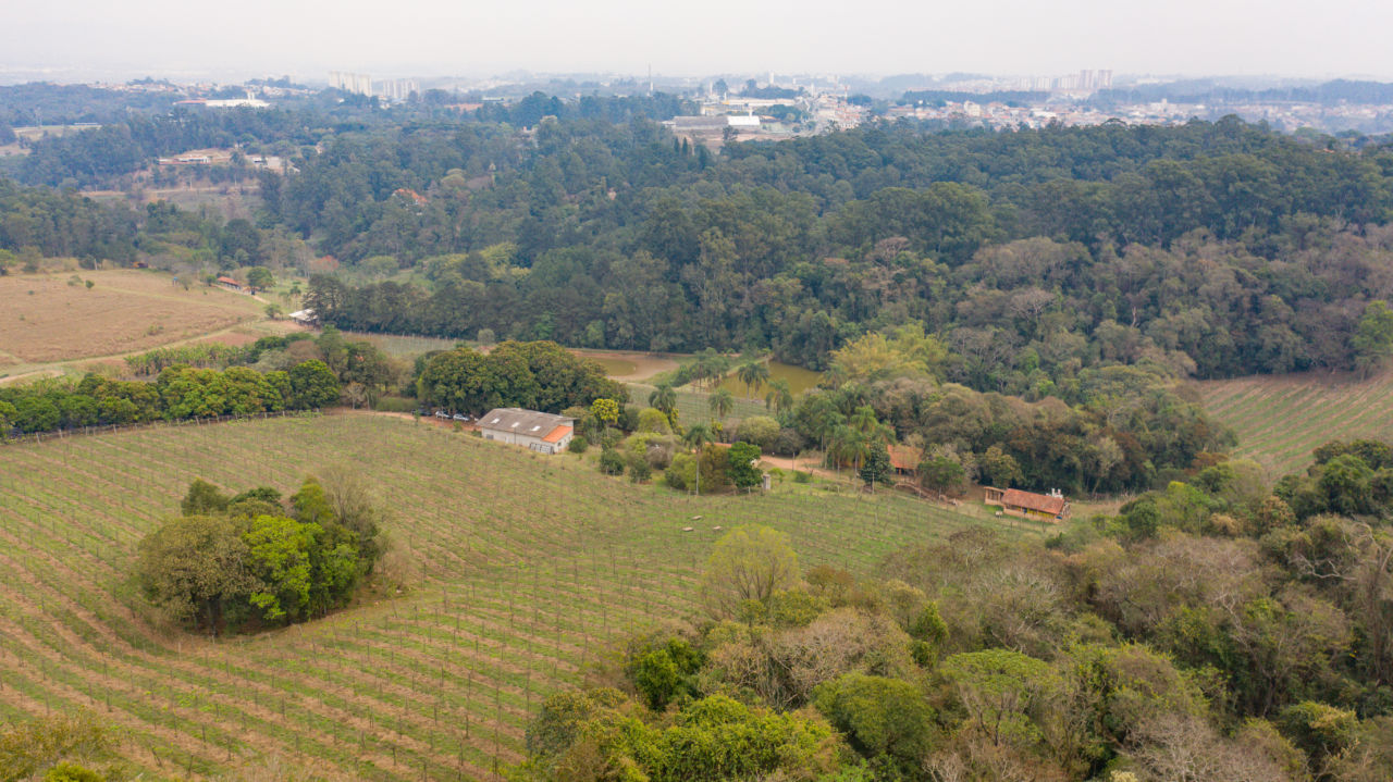 DESCRIÇÃO DA IMAGEM:
Foto aérea mostra espaço rural, com plantações de uva e um remanescente de floresta com muitas árvores. Pode-se também avistar construções no meio da área verde. 