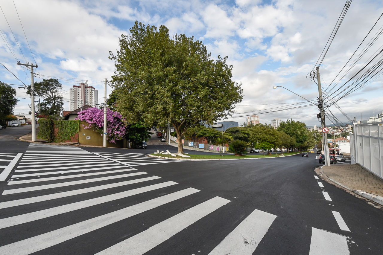 A imagem mostra a avenida Coleta Ferraz com novo asfalto, uma árvore ao centro e a sinalização horizontal no cruzamento, com a faixa de pedestre; ao fundo, uma casa com uma árvore de flores