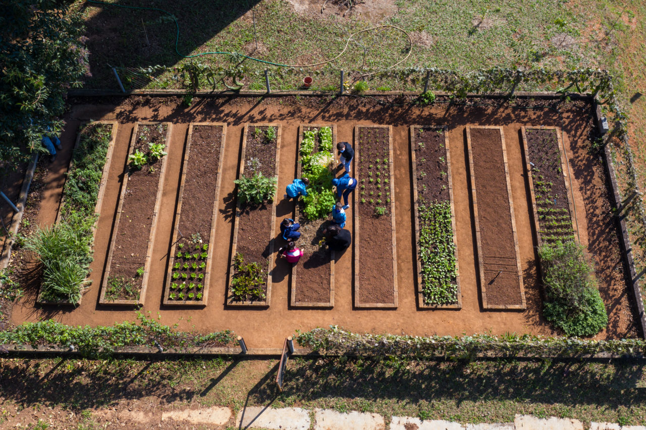 Imagem com drone feita de cima da grande horta da EMEB Hermenegildo Martinelli Comendador, com sete crianças em volta de uma plantação. São nove plantações, algumas somente com terra, pronta para plantar.