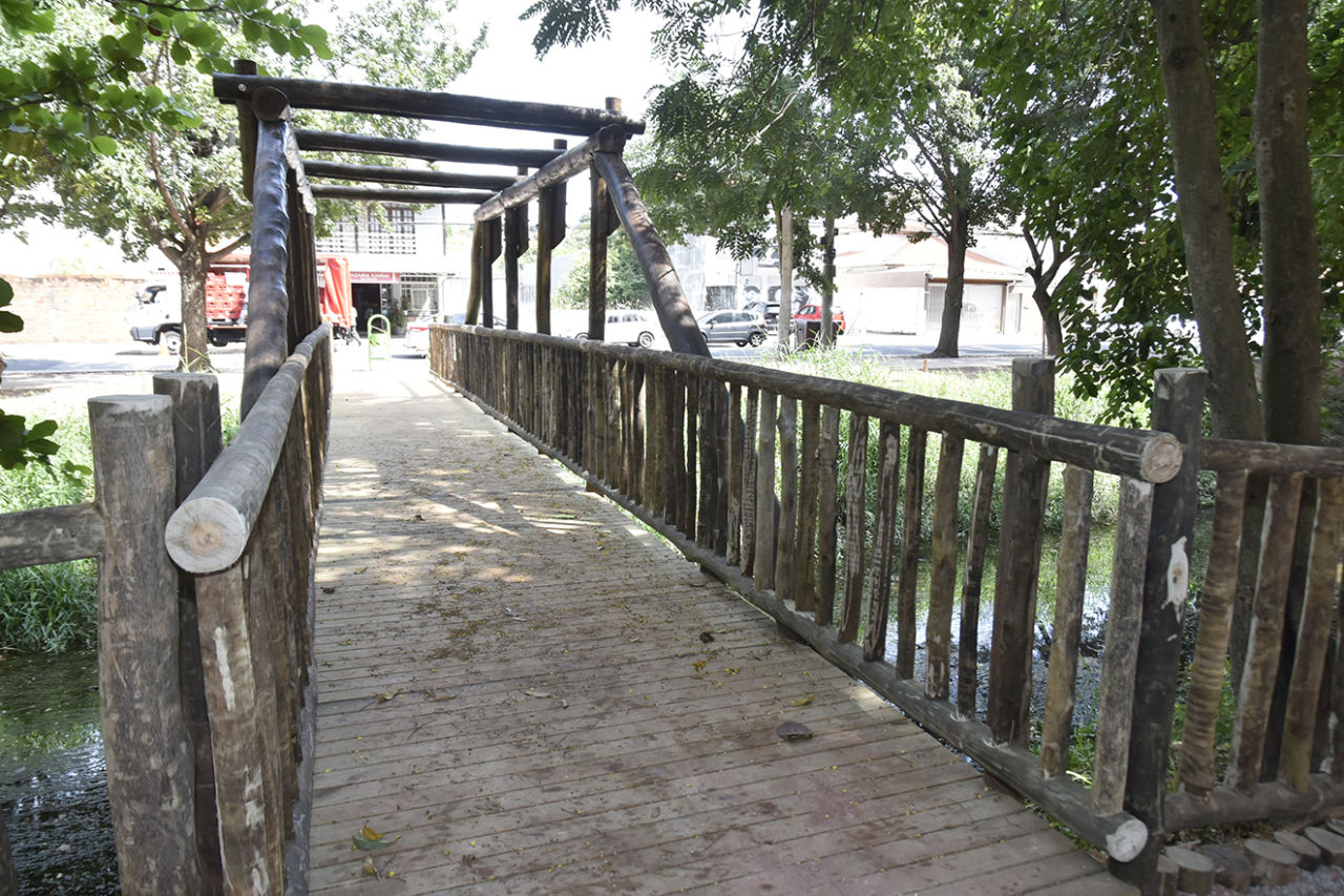 A ponte de madeira em toda sua extensão, de um lado para outro, sobre o rio; com uma parte superior, também feita de troncos de madeira