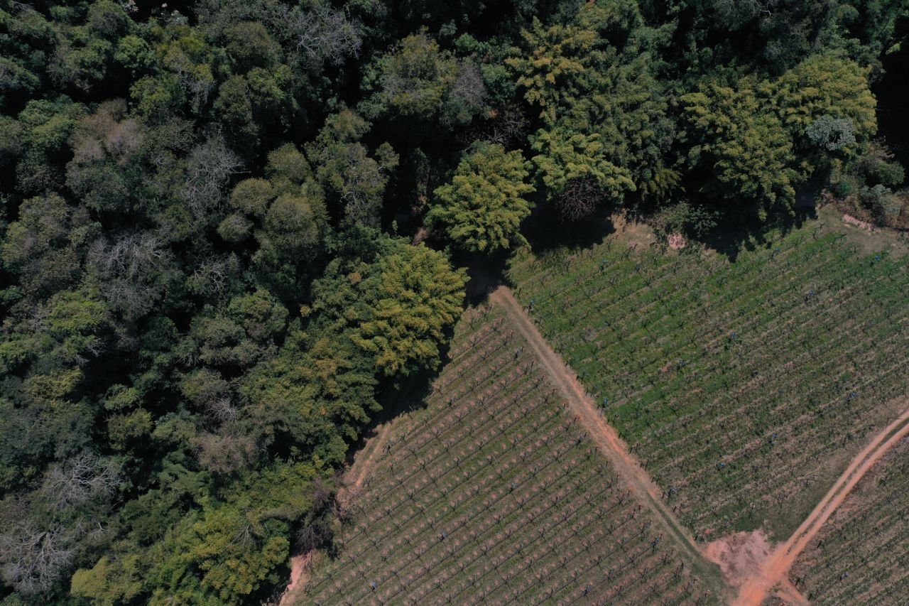 DESCRIÇÃO DA IMAGEM
Foto aérea mostra plantação e, logo na sequência, uma floresta preservada;